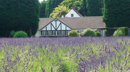We are delighted to have acquired one of Cheshire’s most iconic country inns, The Swettenham Arms